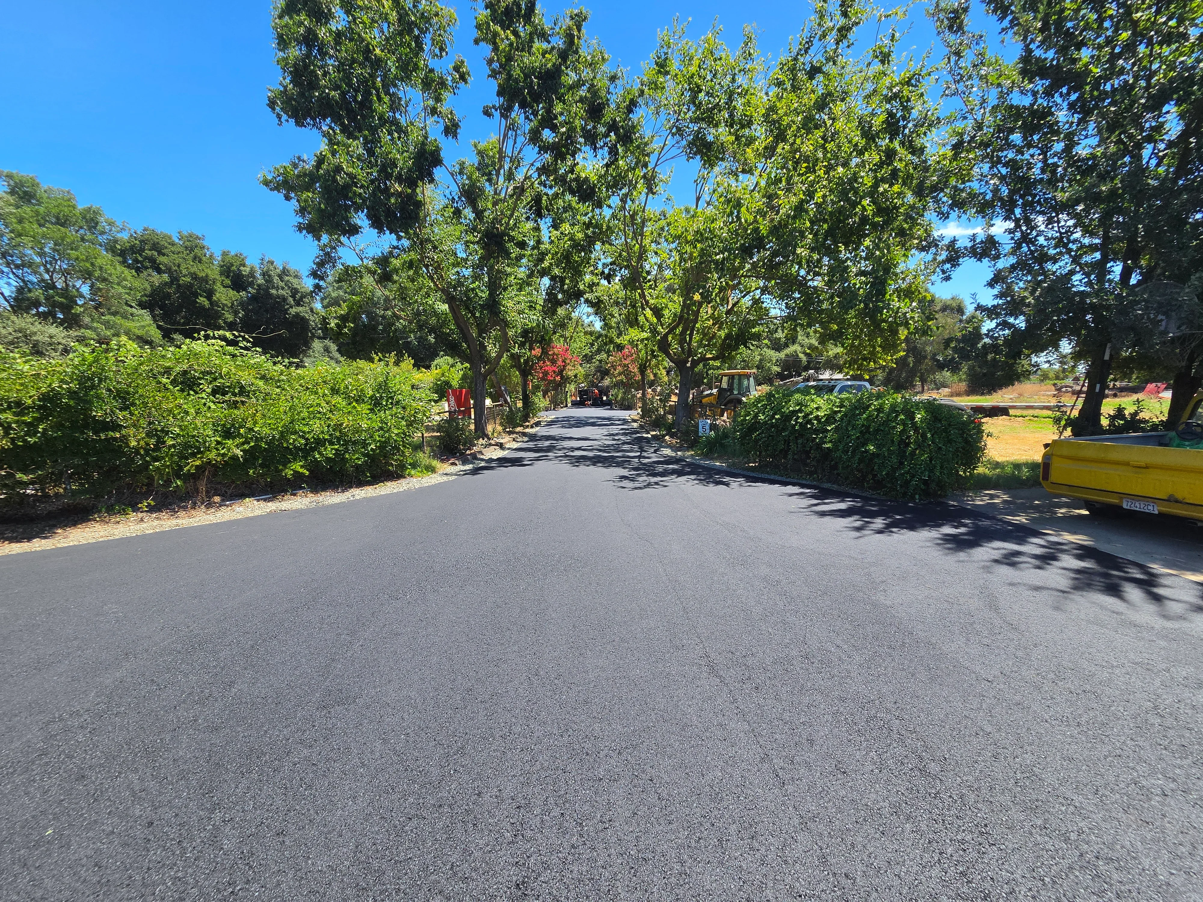 Newly paved asphalt driveway with smooth finish, bordered by green hedges and mature trees