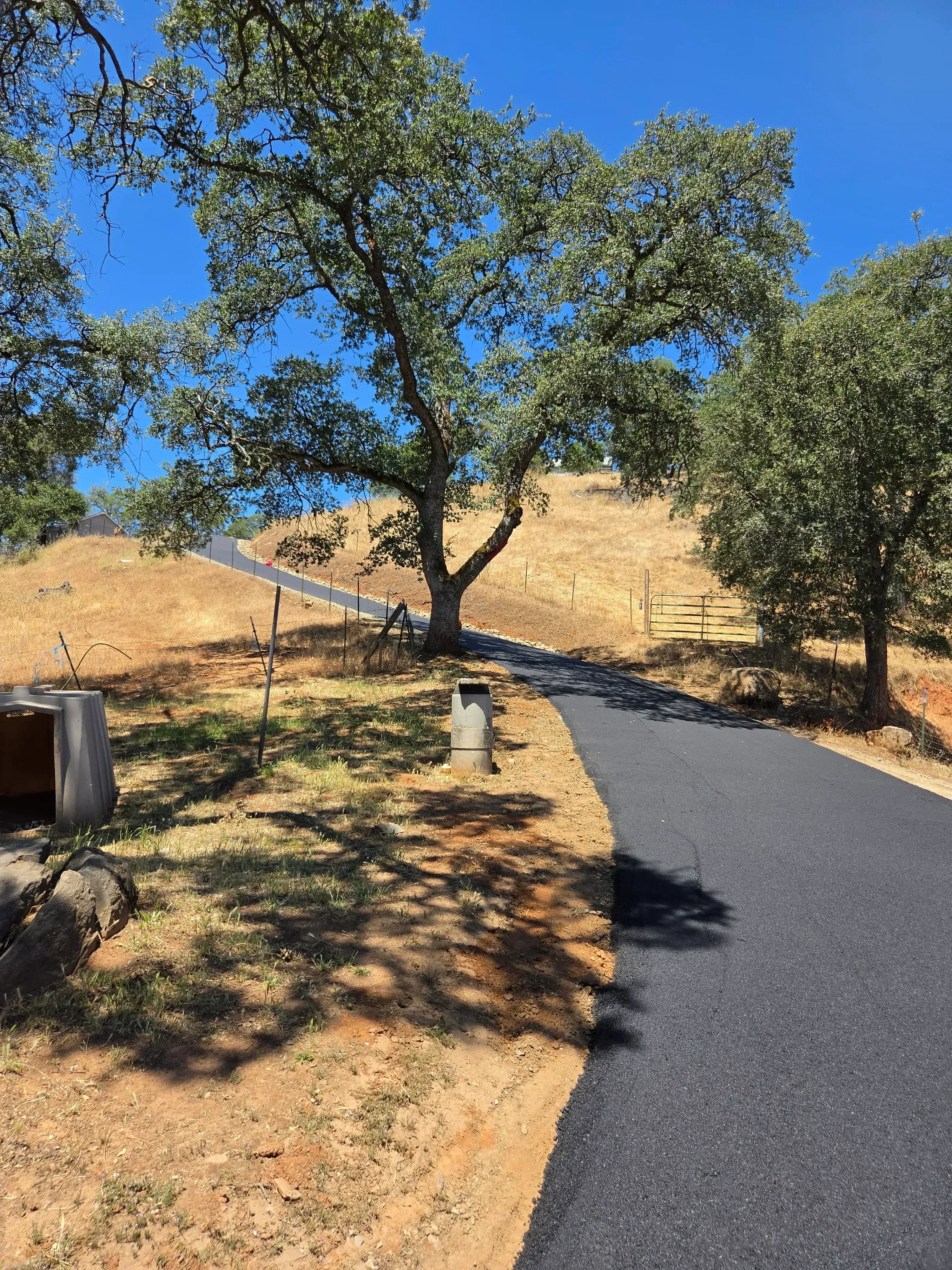New asphalt driveway with clean edges, proper grading, and adjacent landscaping